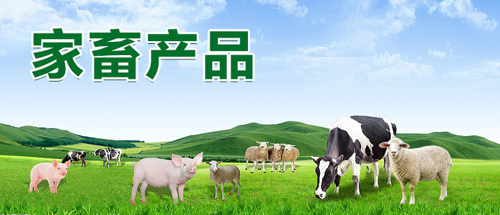 家畜產(chǎn)品